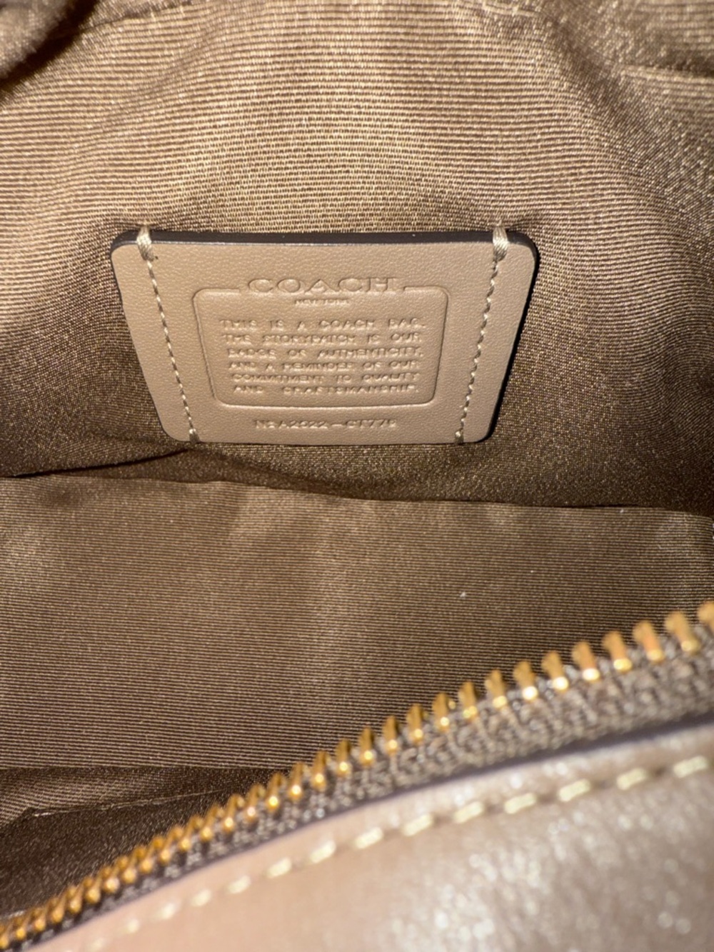 Coach Stachel Crossbody in Dark Stone/Gold - Picture 7 of 9